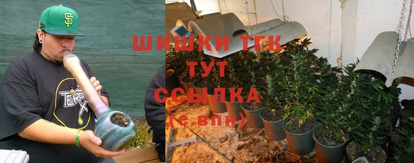 прущие грибы Алзамай